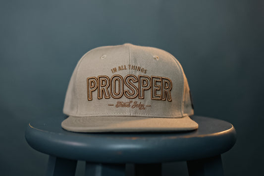 Prosper Beige Hat